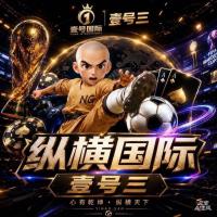 纵横国际(火爆开业)